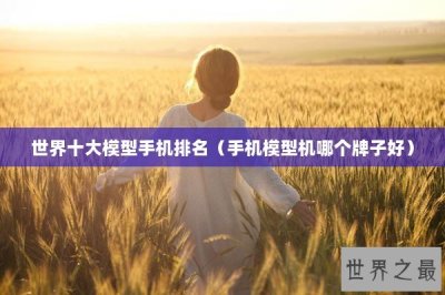 ​世界十大模型手机排名（手机模型机哪个牌子好）