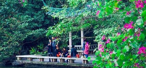 广西南宁赏花好去处,绿荫如盖、繁花似锦,一到春天就美得不像话