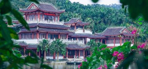 广西南宁赏花好去处,绿荫如盖、繁花似锦,一到春天就美得不像话