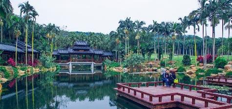 广西南宁赏花好去处,绿荫如盖、繁花似锦,一到春天就美得不像话