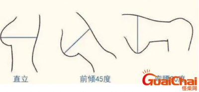 ​胸围怎么测量才标准？测胸围具体步骤是什么？