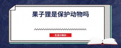 ​果子狸是保护动物吗