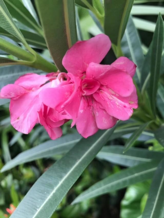 姘头什么意思(姘头粤语竟然叫“契家佬”)