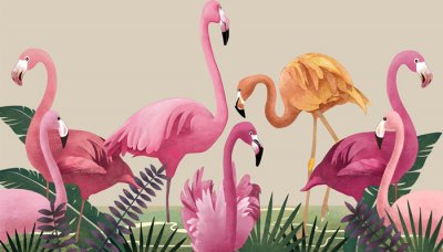 ​火烈鸟的生活习性