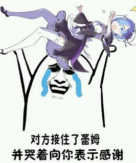 雷姆你听过么(丢你雷姆到底是个什么梗)(2)