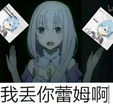 雷姆你听过么(丢你雷姆到底是个什么梗)(1)