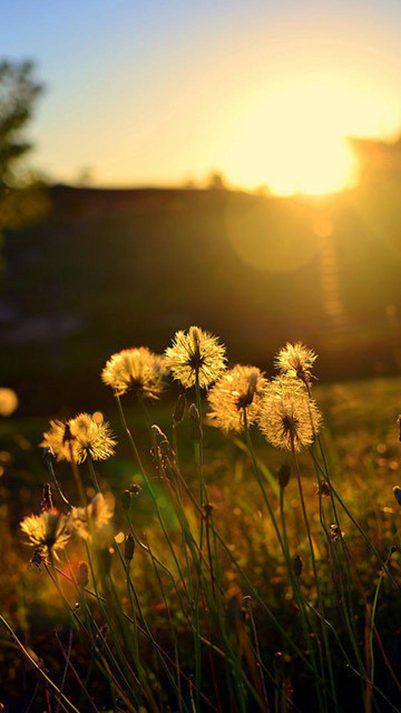 兄弟齐心其利断金的含义(兄弟齐心其利断金是什么意思)