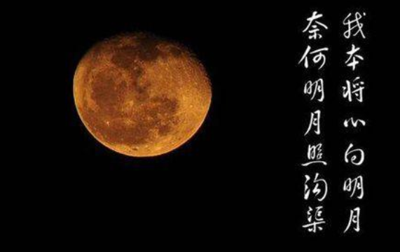 奈何明月照沟渠的上一句是什么(奈何明月照沟渠的出处)