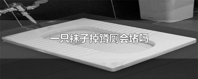 ​袜子不小心掉进蹲厕会堵吗 袜子掉进蹲厕会堵塞吗