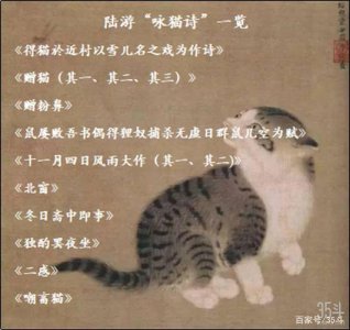 ​陆游有诗云溪柴火暖蛮毡暖我与狸奴不出门狸奴指（陆游诗句中的狸奴指的是什么