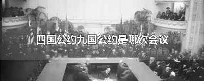 ​四国公约九国公约是哪次会议