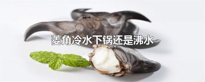 ​菱角冷水下锅还是沸水
