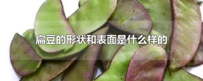​扁豆的形状和表面是什么样的