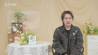 ​金桂和银桂的区别