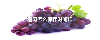 ​葡萄怎么保存时间长