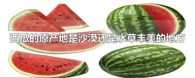 ​西瓜的原产地是沙漠还是水草丰美的地方