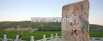 ​南泥湾的简要介绍