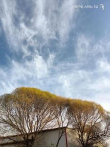 ​飞跃地平线(飞跃地平线 多长时间)