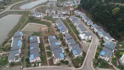 安岳县属于哪个市(四川省资阳市安岳县特产)