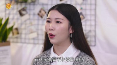 ​竹子是草还是树