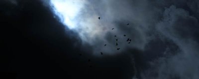 ​多云和阴的区别