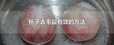 ​桃子怎样快速去毛 桃子如何去毛