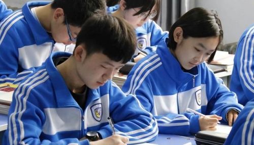 小学班干部职责及要求(小学班干部职责一览表)-第2张图片-