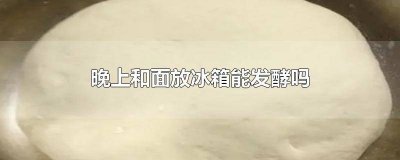 ​晚上和好的面为啥要放冰箱冷藏发酵 晚上和面放冰箱发酵第二天做可以吗?