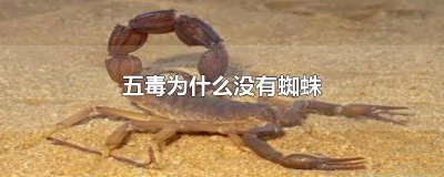 ​蜘蛛是不是五毒之王 蜘蛛是不是五毒之首