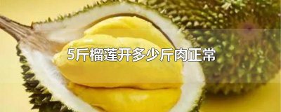 ​4.5斤榴莲开多少斤肉正常 5斤榴莲开多少斤肉正常
