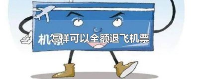 飞机票怎么退能全额 退飞机票全额能退吗