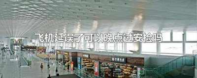 ​飞机延误能不能晚点过安检 飞机延误后可以晚点安检吗