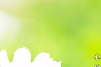 ​心地无私天地宽下一句是什么