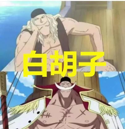 海贼王:四皇年轻时照片曝光!大妈漂亮,红发帅气,而他是只宠物
