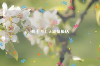 ​鸡毛飞上天剧情概括