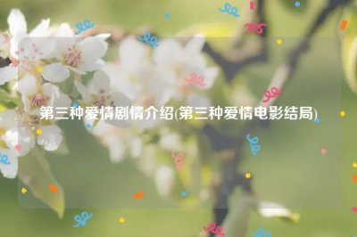 ​第三种爱情剧情介绍(第三种爱情电影结局)