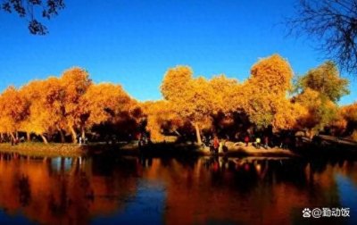 ​额济纳旗胡杨林几月份去最好