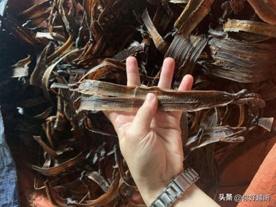 ​中国每年需求近700吨干蚯蚓，中国贸易商来越南大量采集