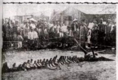 ​中国第一个永久性高山气象站——泰山气象站解读风云前哨第一站 泰山顶上观气象