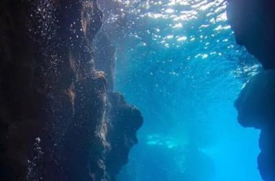 ​美人鱼真的存在揭开美人鱼神秘面纱