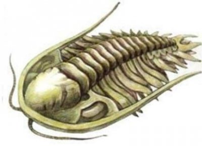 ​积木世界：乐高凭什么这么贵？