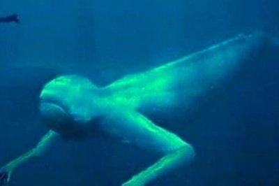 宝葫芦的谜团中谁是大钓鱼家钓鱼谁也赛不过他