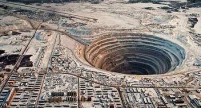 ​世界十大最贵观赏鱼