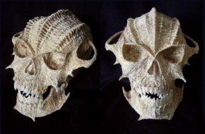 ​女子不退彩礼全家被杀