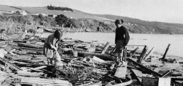 世界上有史以来最大的地震,人类历史上图5