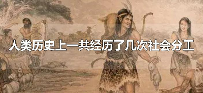 人类历史上一共经历了几次社会分工 人类历史上一共经历了几次社会分工