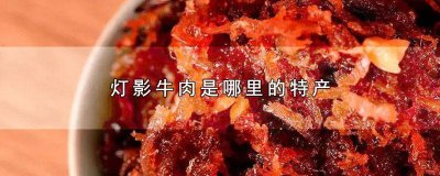 灯影牛肉是谁 灯影牛肉历史典故