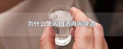 ​为什么先喝白酒再喝啤酒