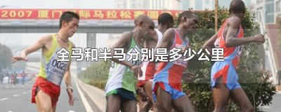 ​全马和半马分别是多少公里