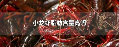 ​小龙虾脂肪多吗 龙虾脂肪含量多少